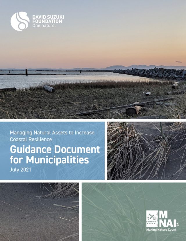 Managing Natural Assets to Increase Coastal Resilience: Guidance Document for Municipalities