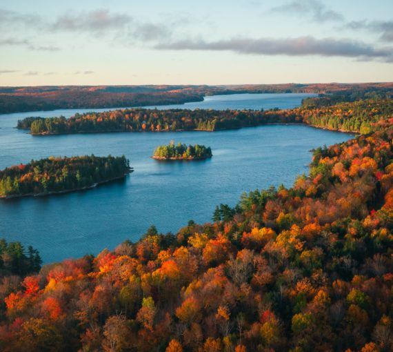 Ontario lakes and forest