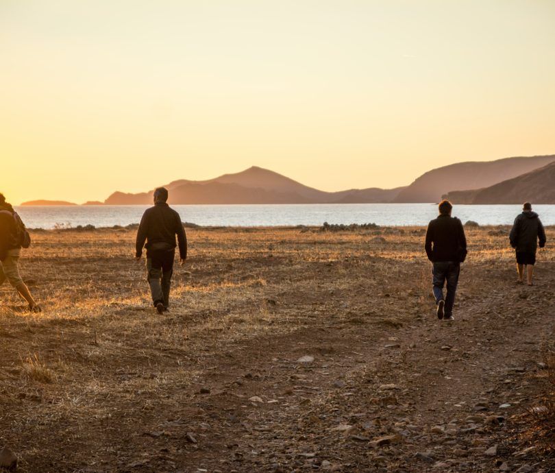 Four people walking on brown sand beach during sunset.
