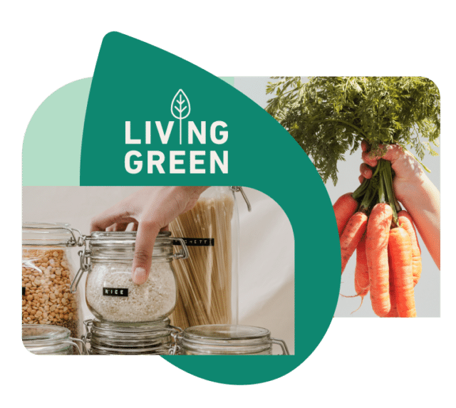 Living Green David Suzuki Foundation