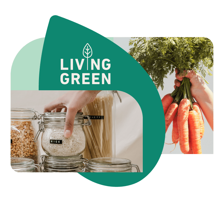 Living Green shares DIY recipes, how-tos and tips