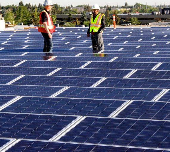 Two people stood amongst solar panels