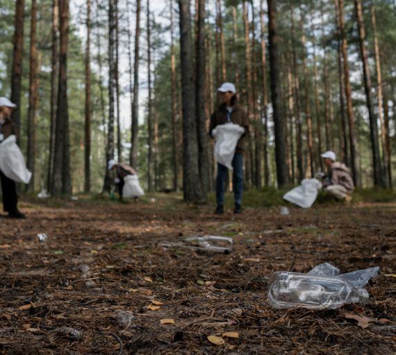 Group of people pick up plastic waste in a forest