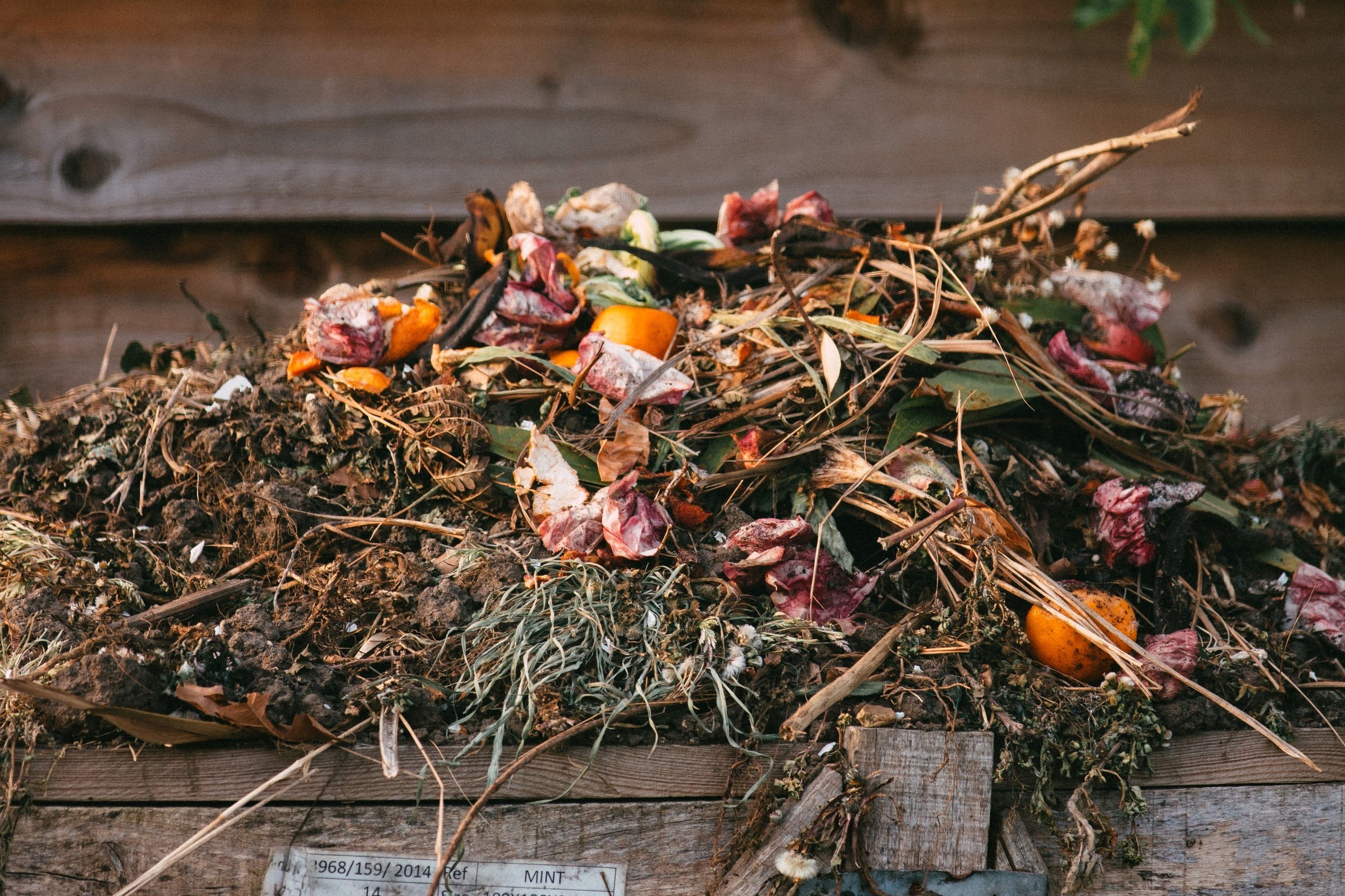 The Do's and Don'ts of Backyard Composting