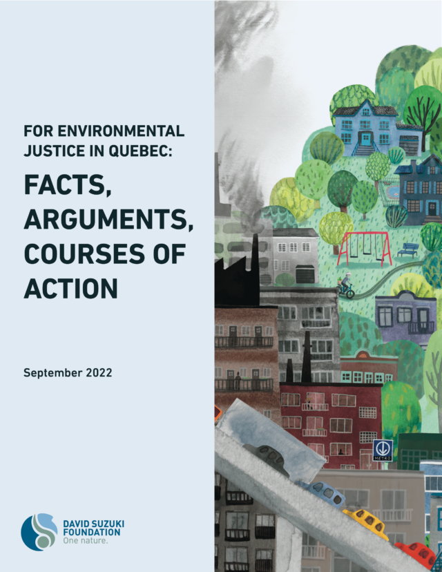 Environmental Justice report