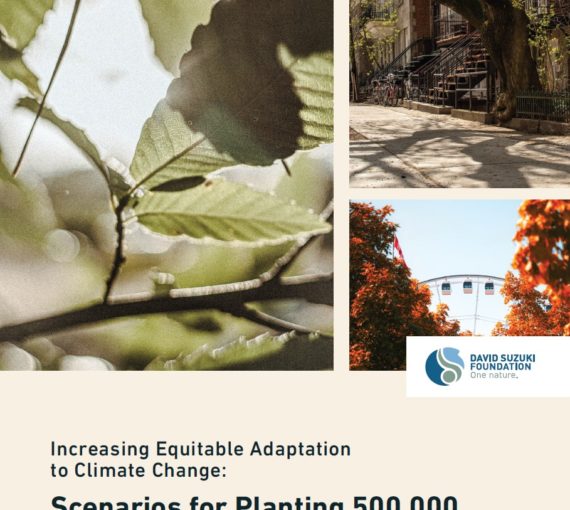 DSF-Executive-Summary-Scenarios-for-Planting-500,000-New-Trees-in-Montreal