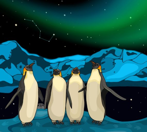 Illustration of penguins under the night sky