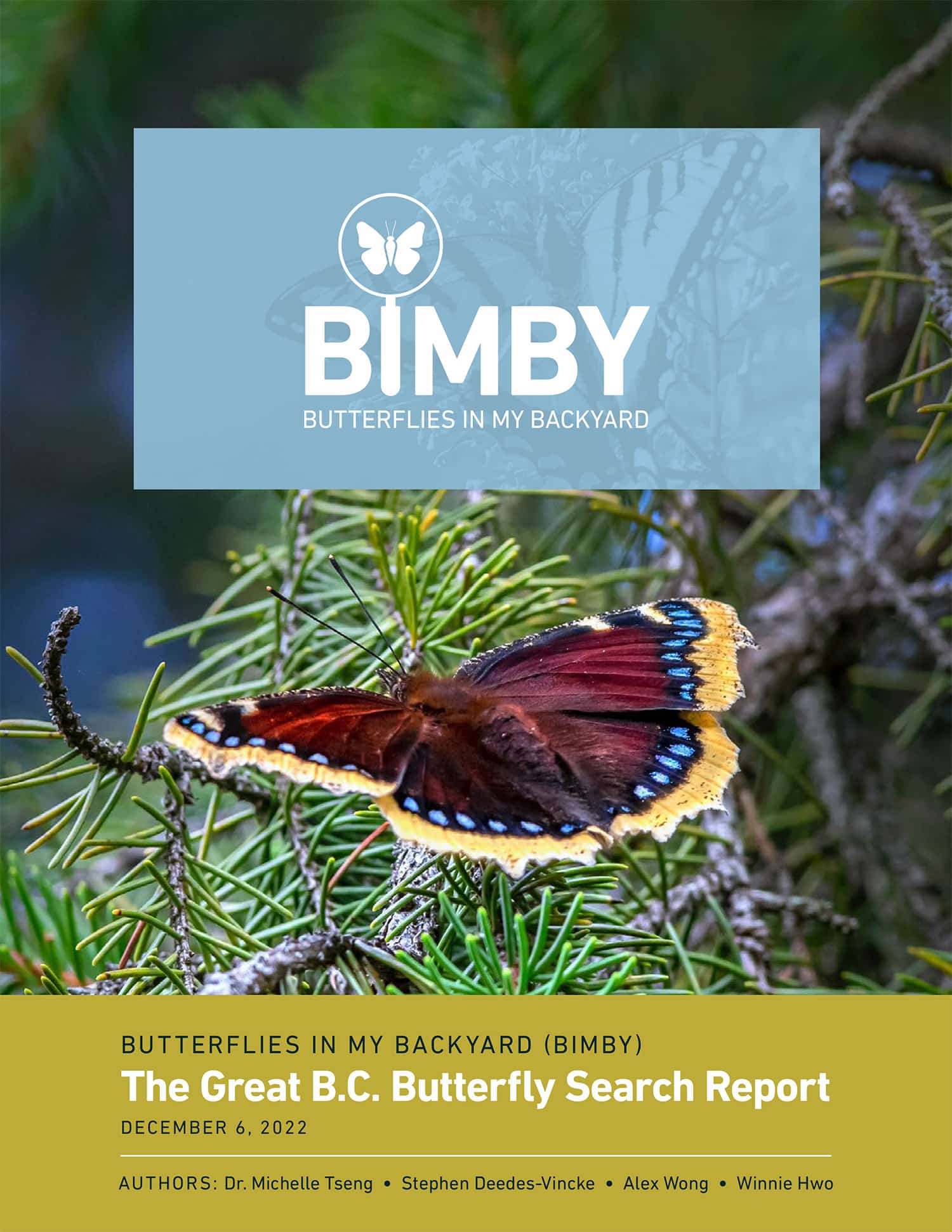 Summer Butterfly Guide – The Academy of Natural Sciences