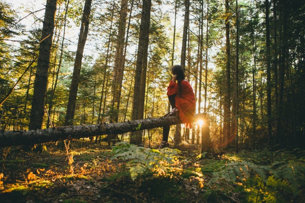 Person sitting on log in the forest