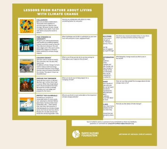 Thumbnail of the Lessons from Nature accompanying worksheet for kids and educators