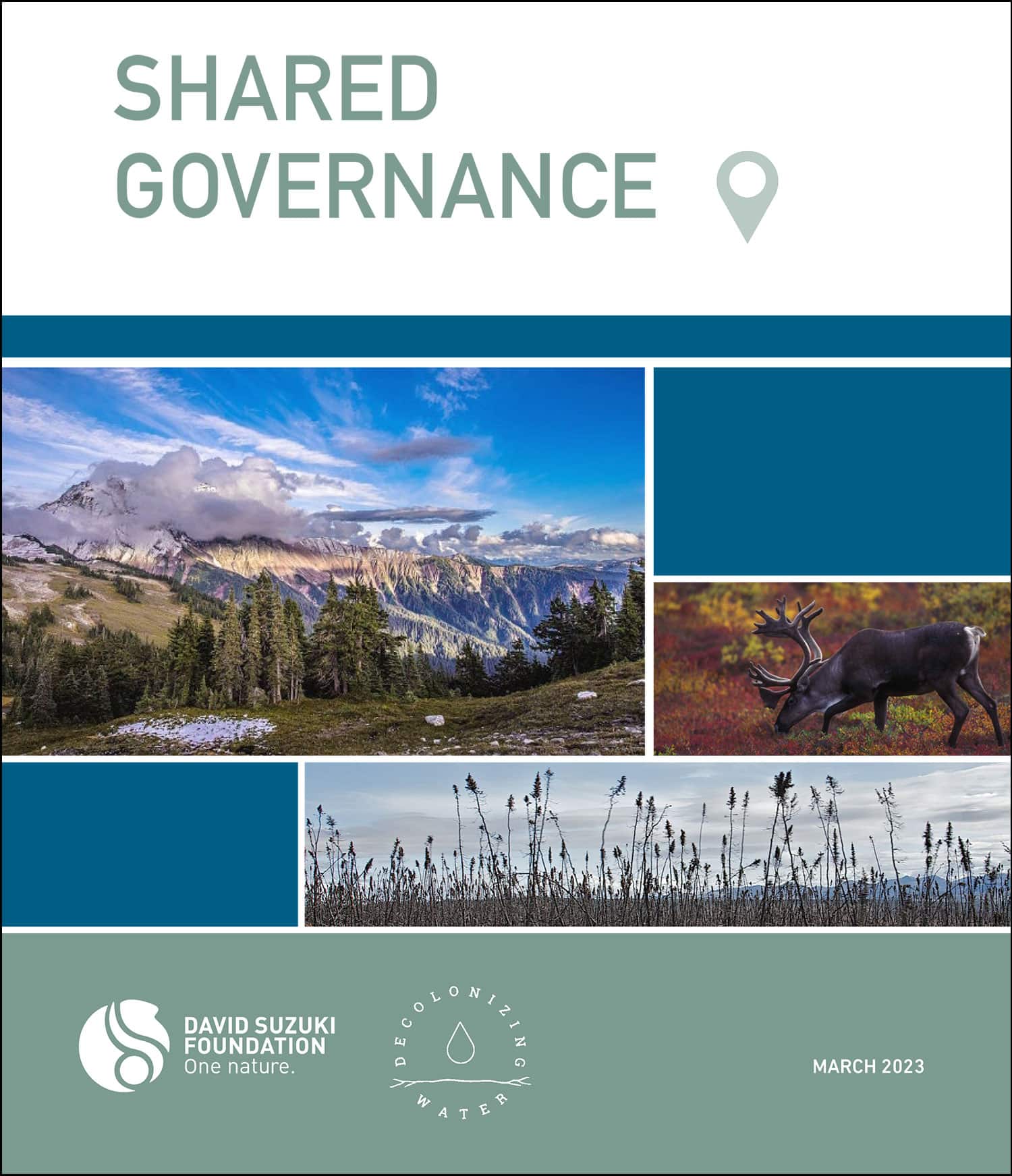 Shared Governance - David Suzuki Foundation