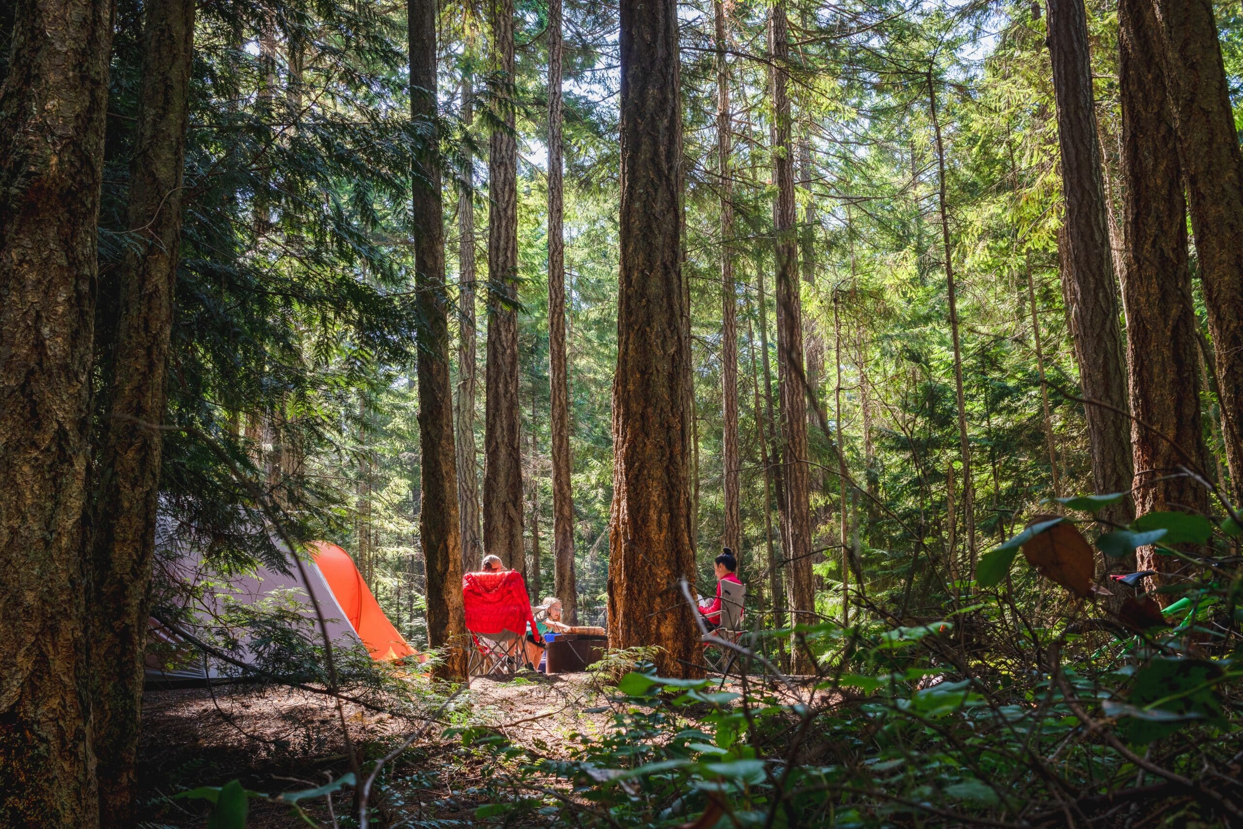 Family enjoying nature outdoors camping in the forest.
