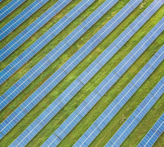 Solar panels line green field