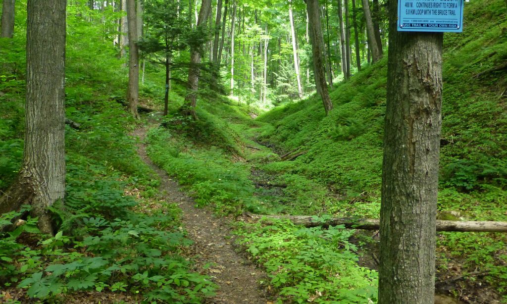 Bruce Trail in the greenbelt
