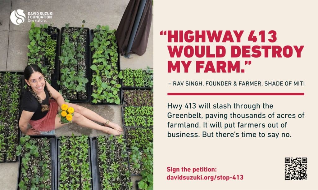 Highway 413 would destroy my farm, quote.