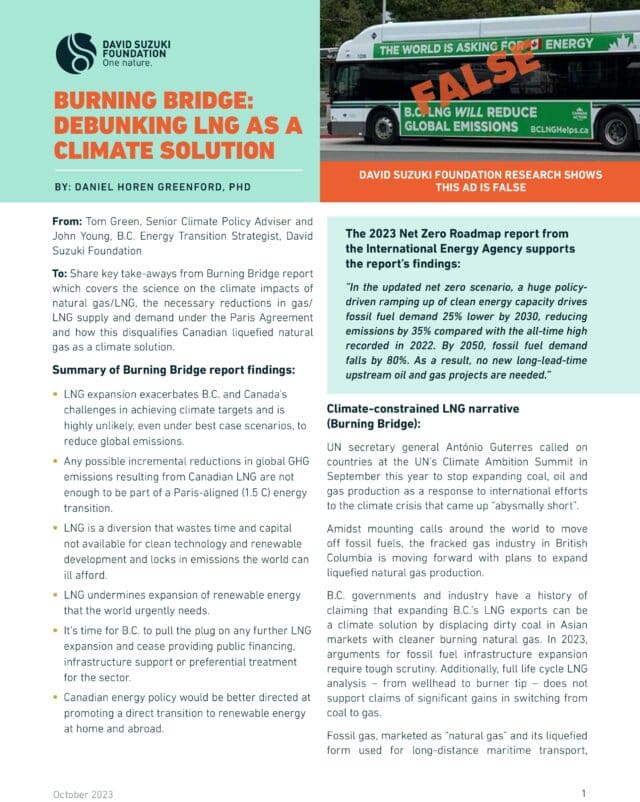 Burning Bridge summary report cover page