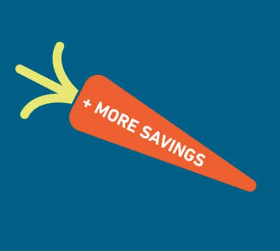 Illustration of a carrot to indicate saving money when getting a rebate for a heat pump