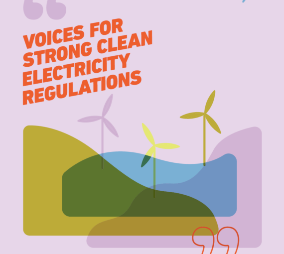 Voices for strong clean electricity regulations front page