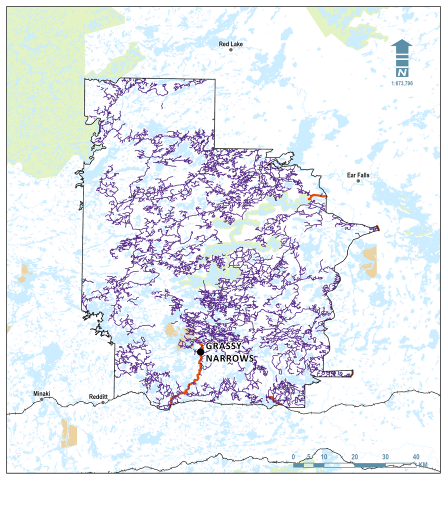 The Whiskey Jack Forest in Ontario overlaps with the traditional territory of the Grassy Narrows First Nation (Asabiinyashkosiwagong Nitam-Anishinaabeg). For 20 years, Grassy Narrows has had a blockade to prevent clearcut logging from continuing in their traditional territory, but the logging road legacy still significantly impacts the land.