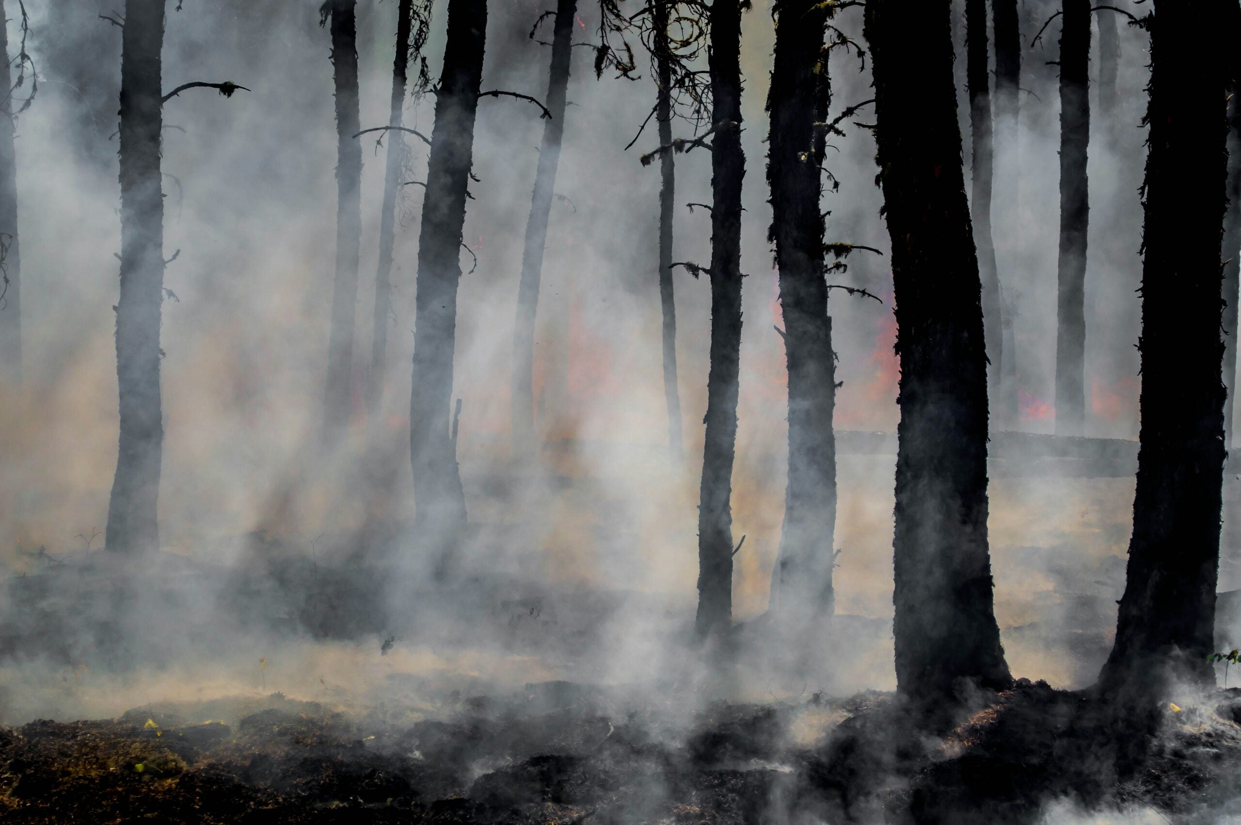 Climate change fuels wildfires worldwide - David Suzuki Foundation