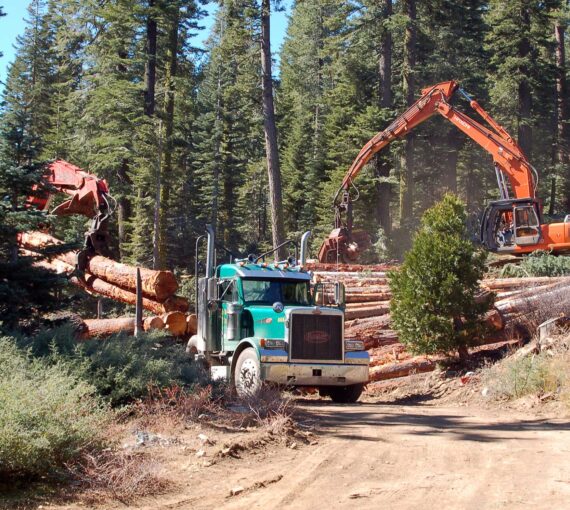 Logging activity