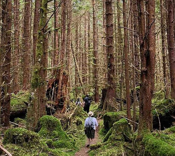 People walking through a forest