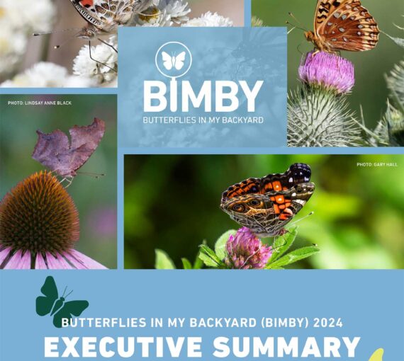 EXECUTIVE SUMMARY - Butterflies in My Backyard (BIMBY) 2024 report