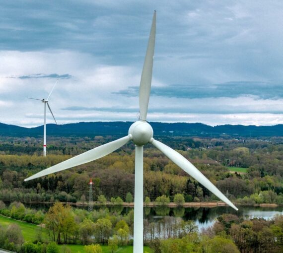 Wind turbines surrounded by greenery, forest, mountains and sky