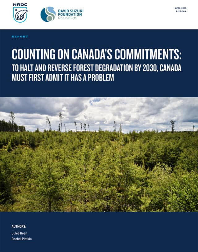 Counting-on-Canada-Forest-Degradation-in-Canada Resource cover page