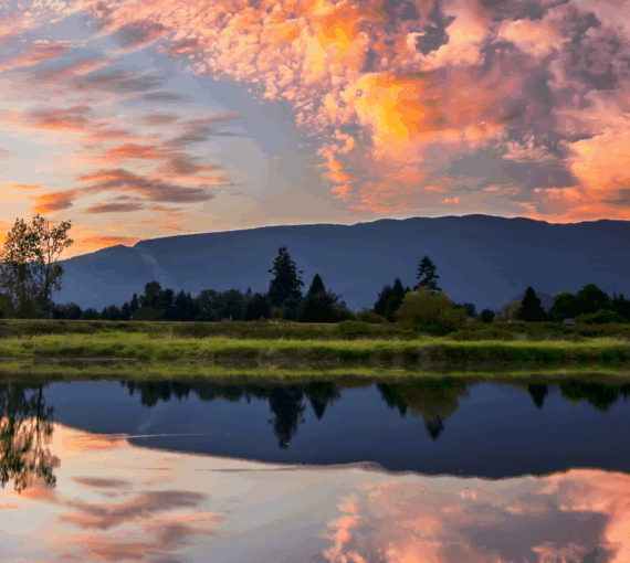 Solutions to the climate and biodiversity crises exist. What’s needed is the political will to implement them. You can help