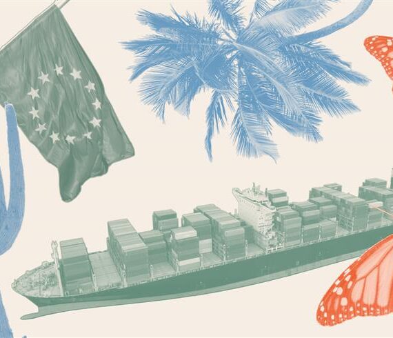 An illustration of the UN flag, tress, butterflies and a tanker