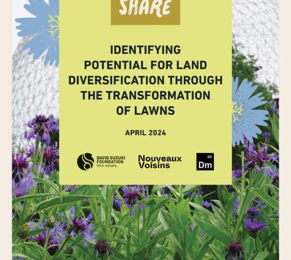 Resource cover page