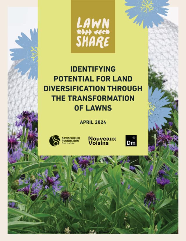 LawnShare—Identifying-potential-for-land-diversification-through-the-transformation-of-lawns-1 Resource cover page