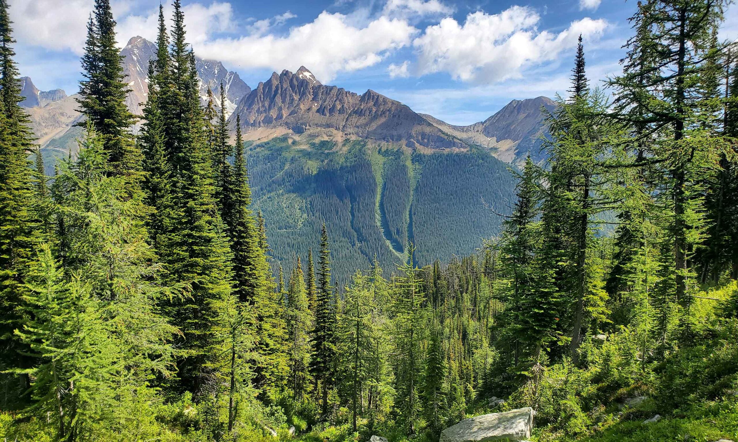 Nature-directed stewardship planning - David Suzuki Foundation