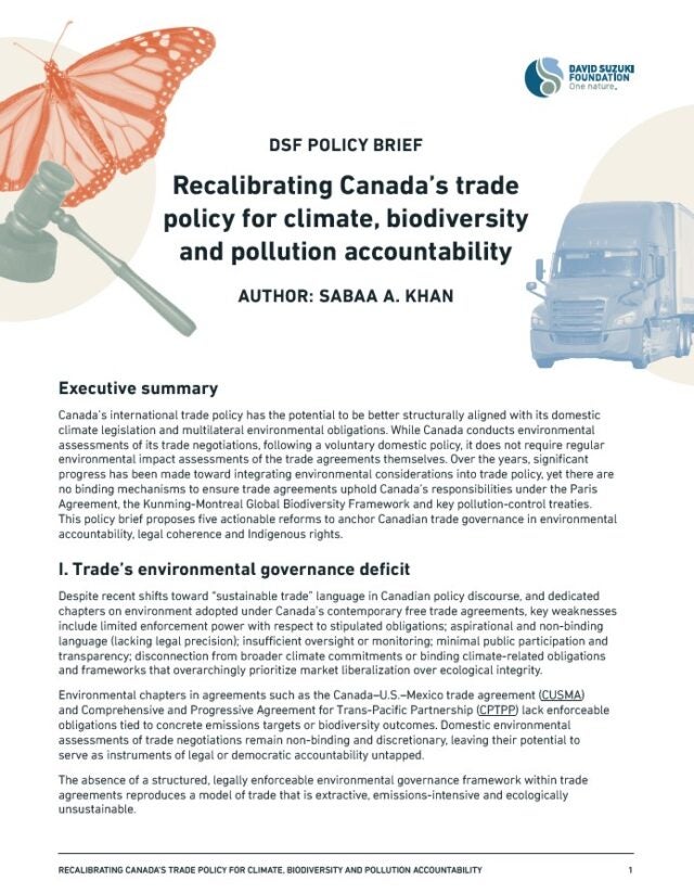Recalibrating Canada's trade policy for climate biodiversity and pollution accountability - front cover of brief