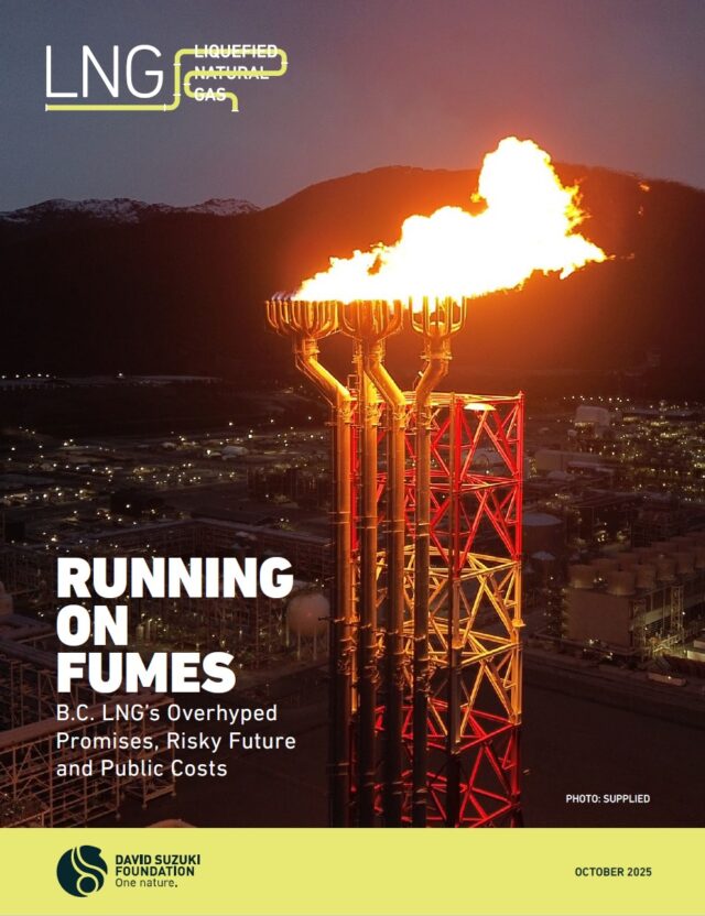 Thumbnail for the LNG running on fumes report