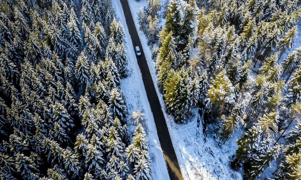 A car drives through a forest