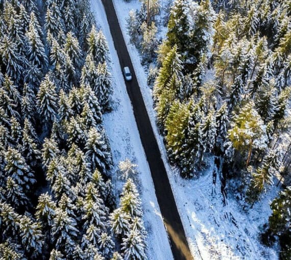 A car drives through a forest