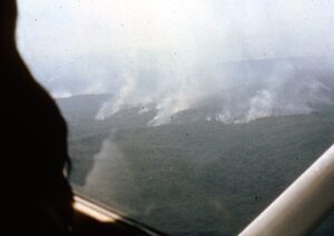 Witnessing the burning of the Amazon from a tiny plane in 1989.