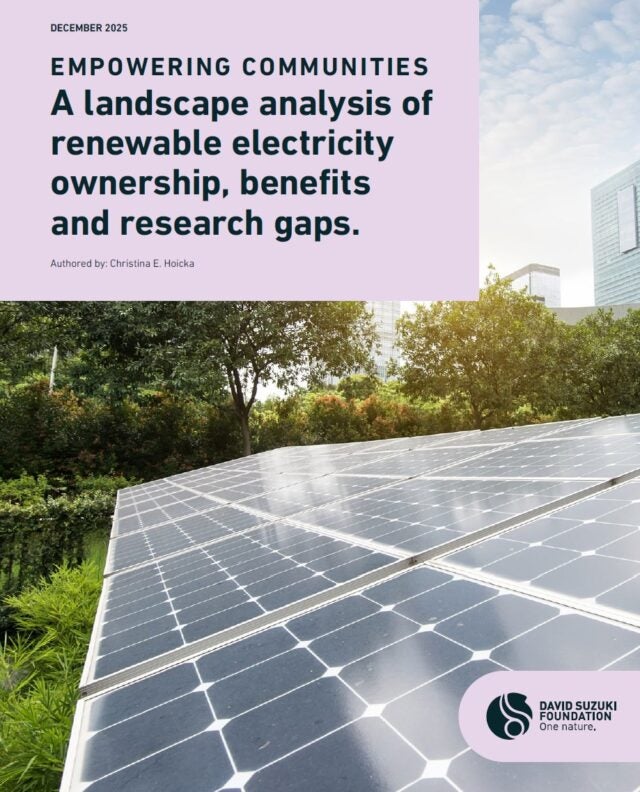 Front cover of a new Renewable Power Benefits report