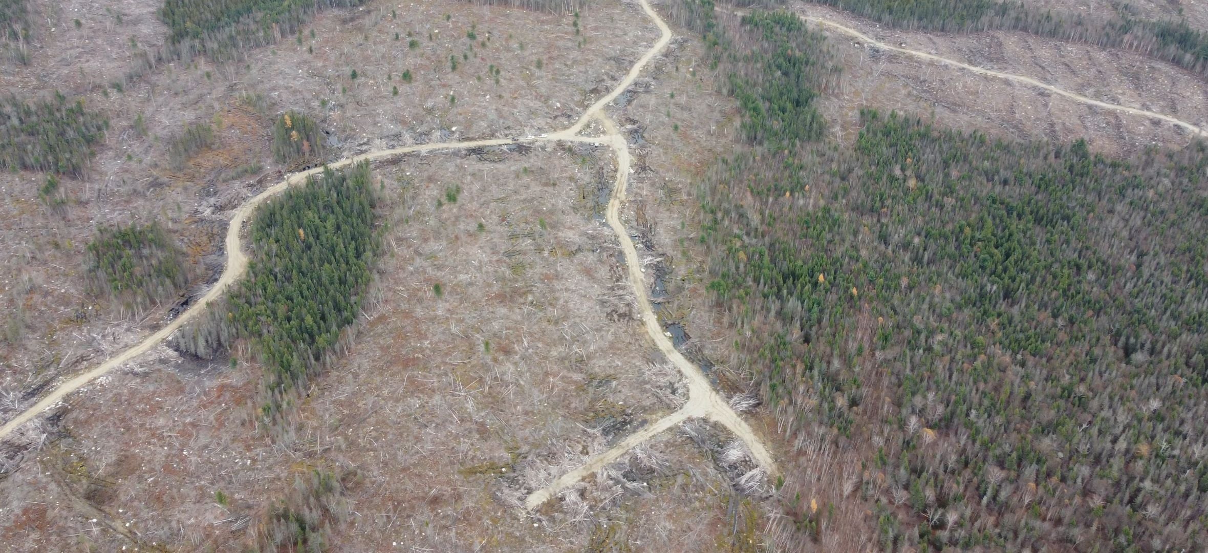 Aerial view showing the impacts of logging