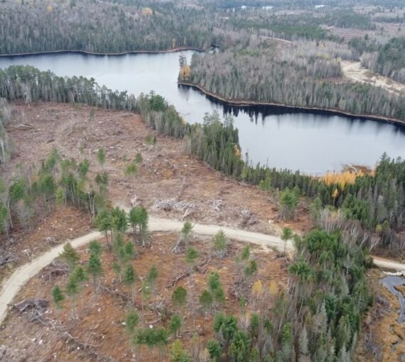 Aerial shot of deforestation