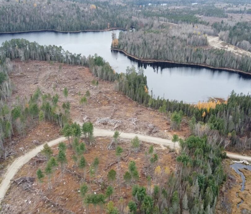 Aerial shot of deforestation