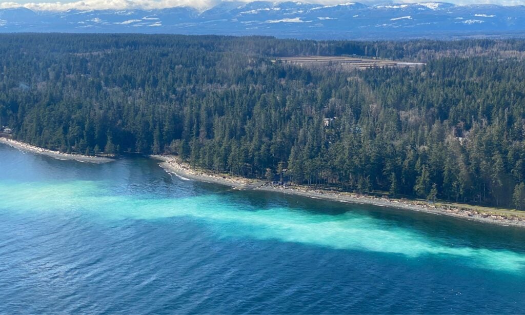 The Straight of Georgia with forest in the background