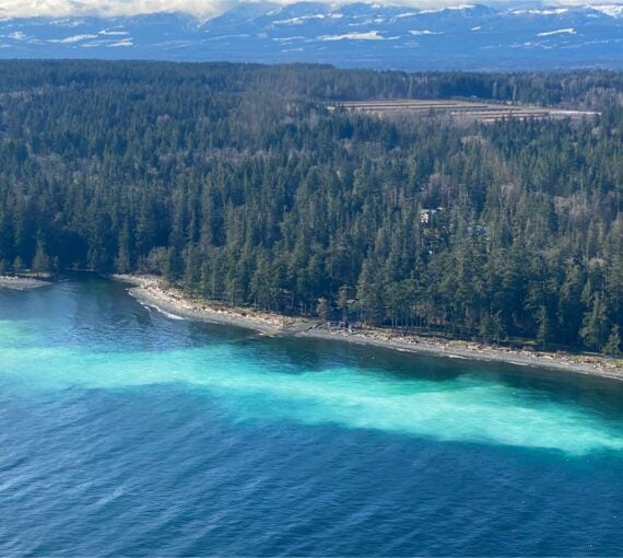 The Straight of Georgia with forest in the background