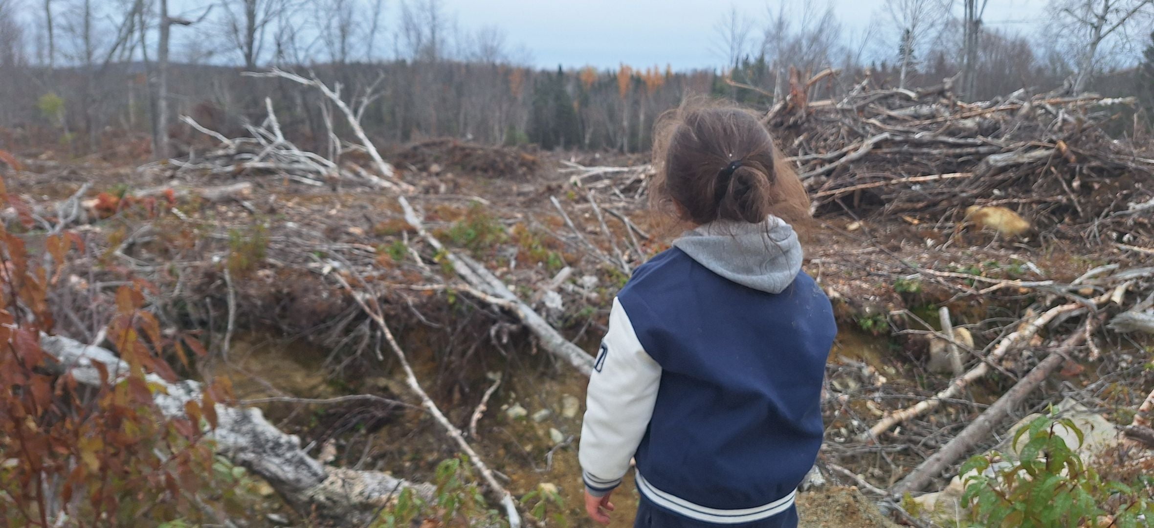A child looks out over a wildlife reserve that has been logged