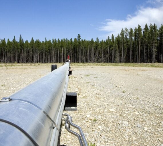 A pipeline leading into a forest