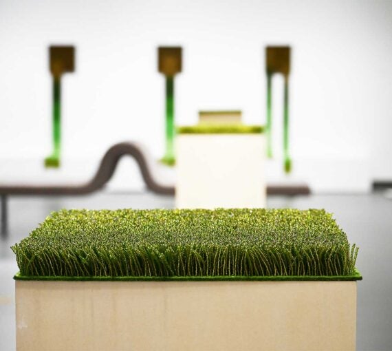 Carrie Allison - they built fields of grass on sawdust