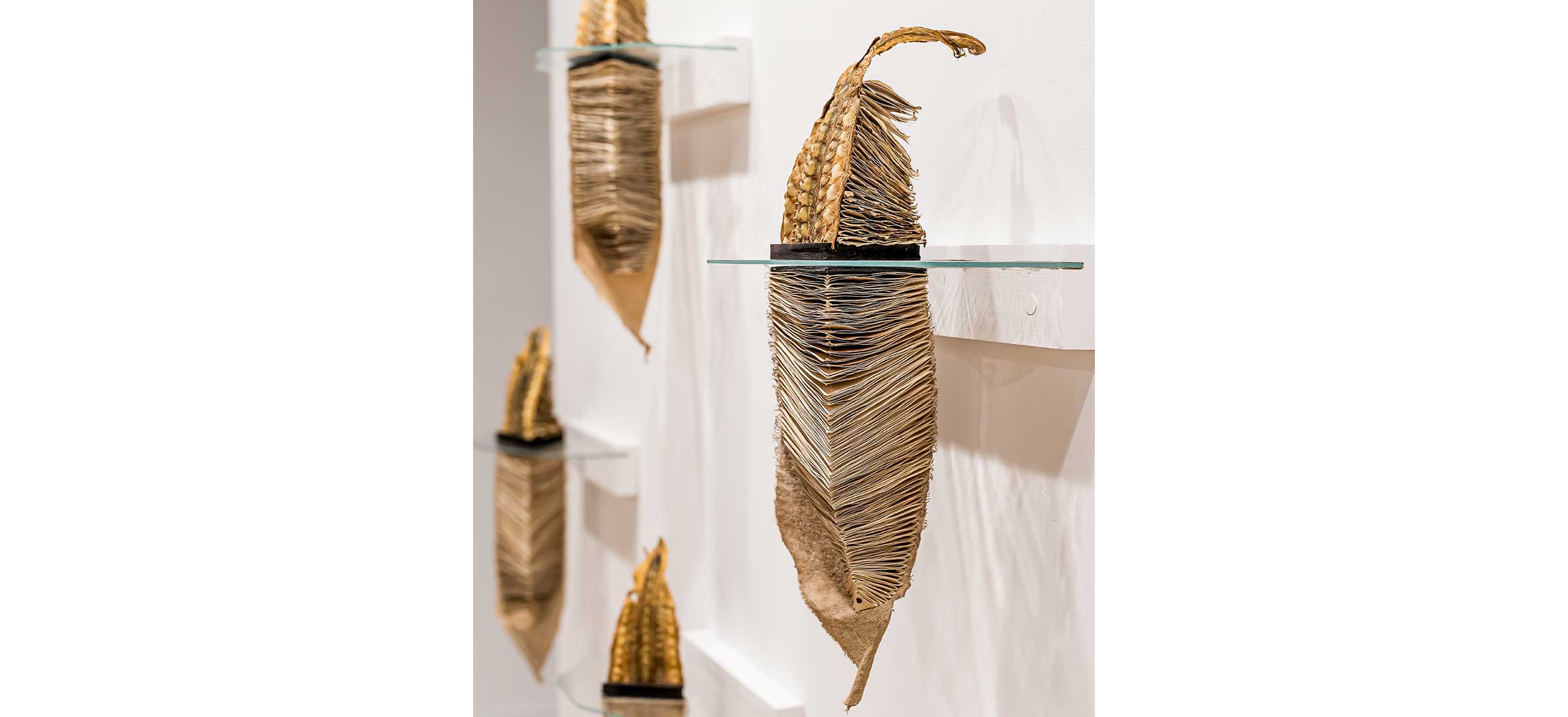 Debra-France-Plett—Indicators Debra France Plett - Indicators