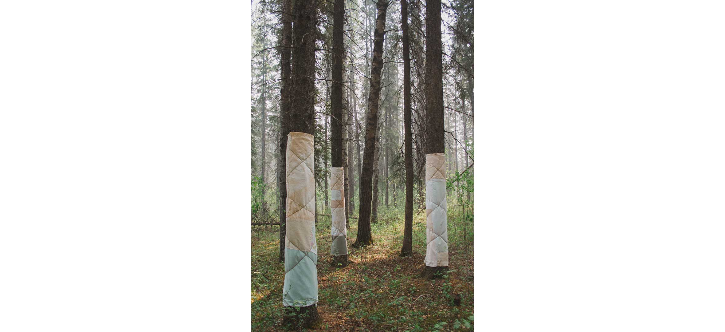 Lara-Felsing—Blanket-Ceremony-for-the-Forest Lara Felsing - Blanket Ceremony for the Forest